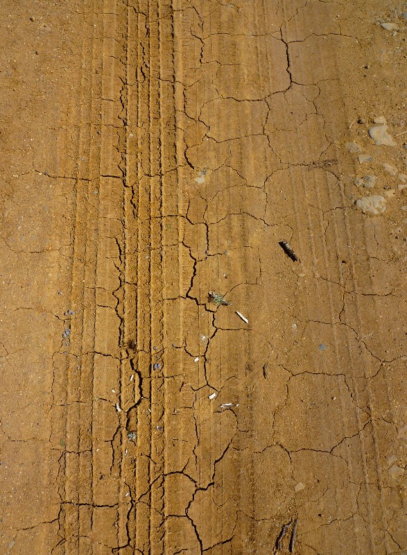 Ausgetrockneter Boden mit Reifenspuren